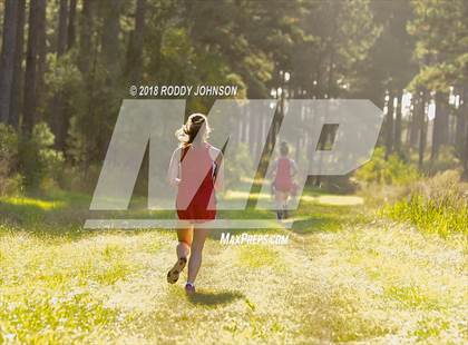Thumbnail 2 in District 5-2A Cross Country Meet (Timberland Ranch) photogallery.