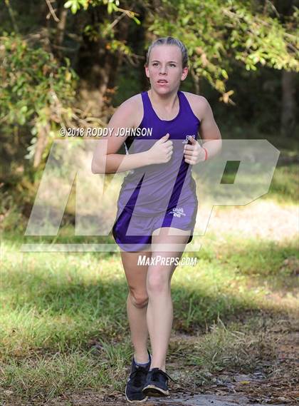 Thumbnail 2 in District 5-2A Cross Country Meet (Timberland Ranch) photogallery.