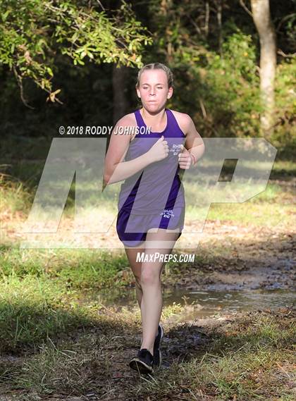 Thumbnail 1 in District 5-2A Cross Country Meet (Timberland Ranch) photogallery.