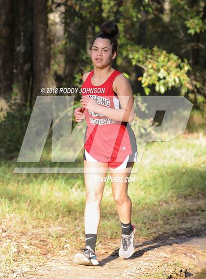 Thumbnail 3 in District 5-2A Cross Country Meet (Timberland Ranch) photogallery.