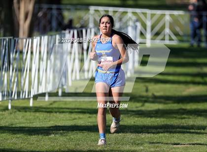 Thumbnail 2 in UIL Cross Country 1A Finals (3200M) photogallery.