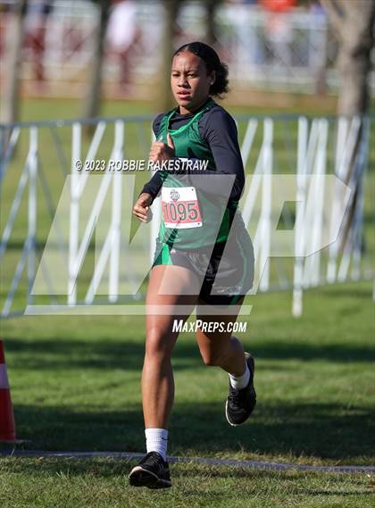 Thumbnail 1 in UIL Cross Country 1A Finals (3200M) photogallery.