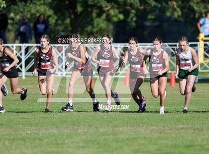Thumbnail 3 in UIL Cross Country 1A Finals (3200M) photogallery.