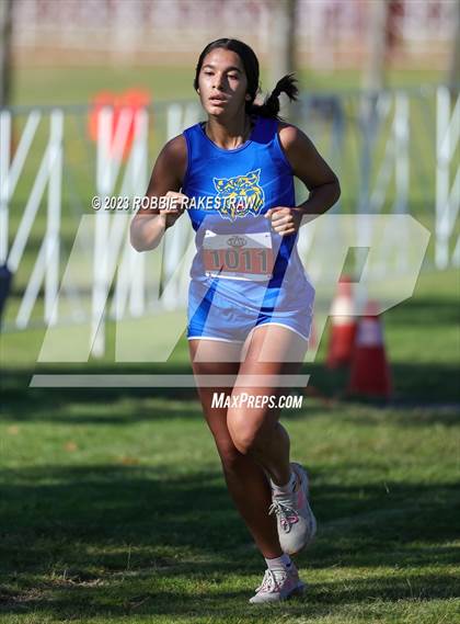 Thumbnail 1 in UIL Cross Country 1A Finals (3200M) photogallery.