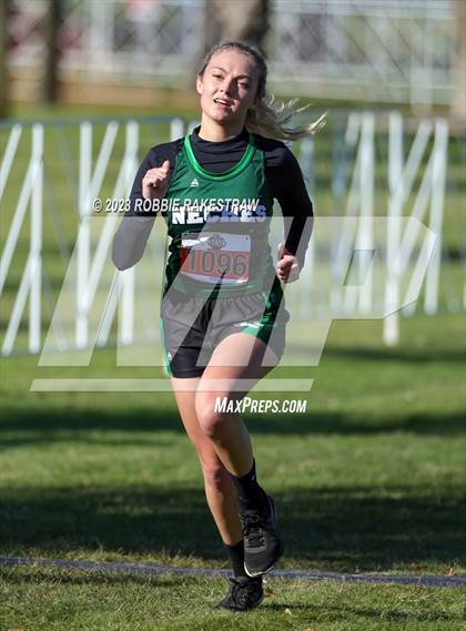 Thumbnail 1 in UIL Cross Country 1A Finals (3200M) photogallery.