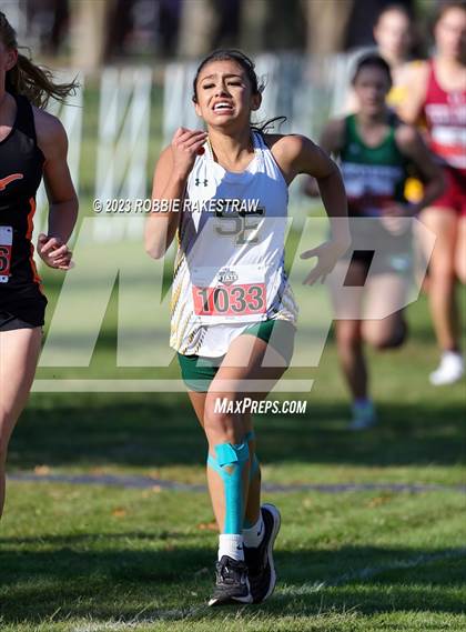 Thumbnail 2 in UIL Cross Country 1A Finals (3200M) photogallery.
