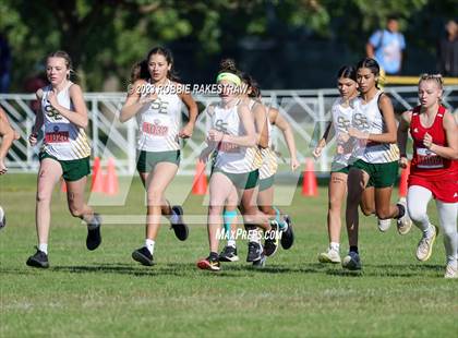 Thumbnail 3 in UIL Cross Country 1A Finals (3200M) photogallery.