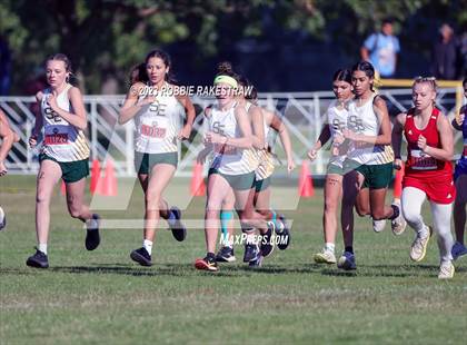 Thumbnail 1 in UIL Cross Country 1A Finals (3200M) photogallery.