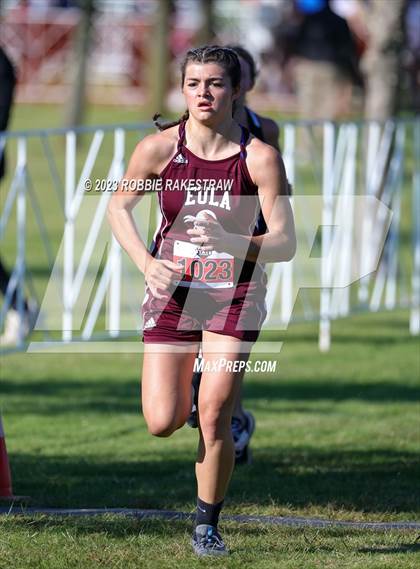 Thumbnail 2 in UIL Cross Country 1A Finals (3200M) photogallery.