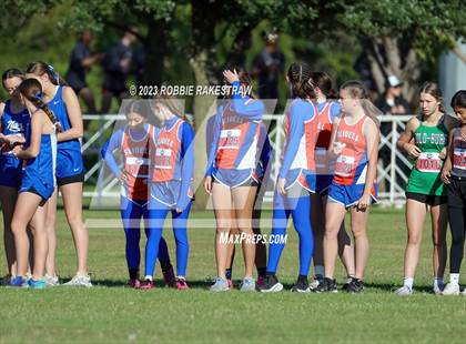 Thumbnail 1 in UIL Cross Country 1A Finals (3200M) photogallery.