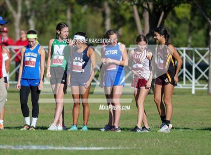 Thumbnail 3 in UIL Cross Country 1A Finals (3200M) photogallery.
