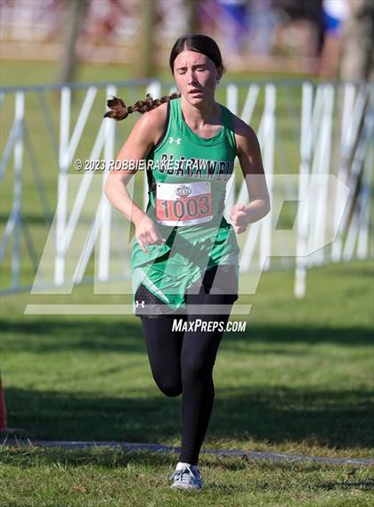 Thumbnail 2 in UIL Cross Country 1A Finals (3200M) photogallery.