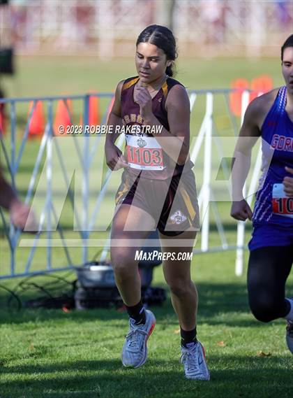 Thumbnail 3 in UIL Cross Country 1A Finals (3200M) photogallery.