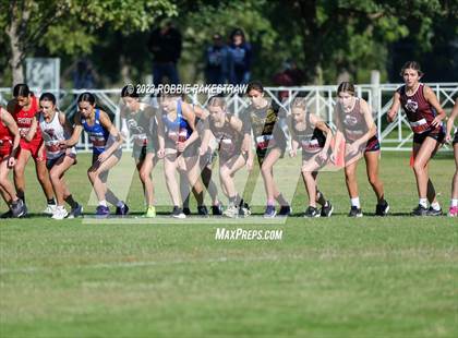 Thumbnail 2 in UIL Cross Country 1A Finals (3200M) photogallery.