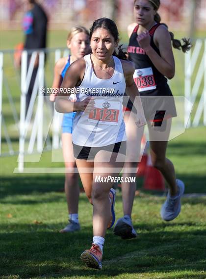 Thumbnail 1 in UIL Cross Country 1A Finals (3200M) photogallery.