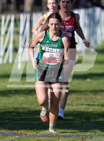 Thumbnail 3 in UIL Cross Country 1A Finals (3200M) photogallery.
