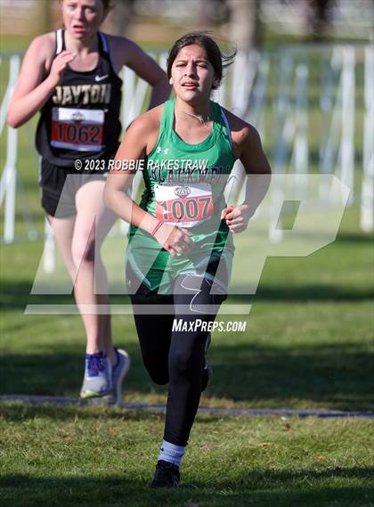 Thumbnail 3 in UIL Cross Country 1A Finals (3200M) photogallery.