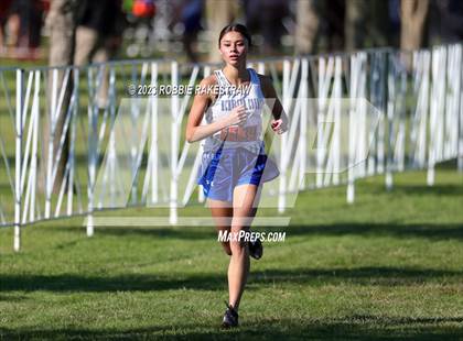 Thumbnail 3 in UIL Cross Country 1A Finals (3200M) photogallery.