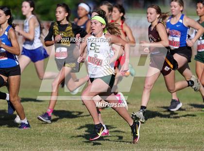 Thumbnail 2 in UIL Cross Country 1A Finals (3200M) photogallery.