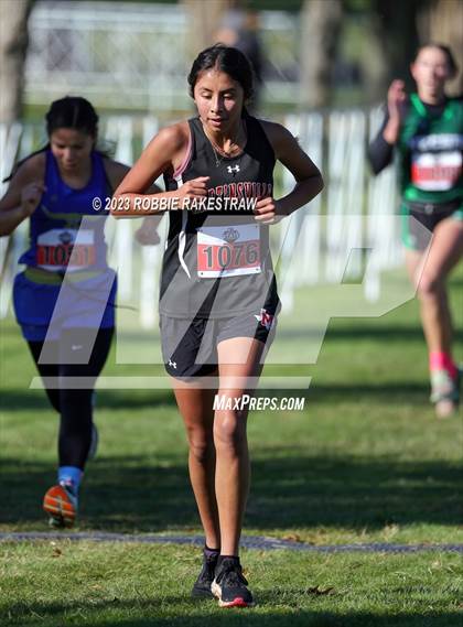 Thumbnail 2 in UIL Cross Country 1A Finals (3200M) photogallery.