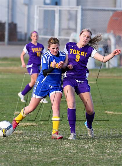 Thumbnail 2 in Linden @ Tokay (Champions Cup) photogallery.