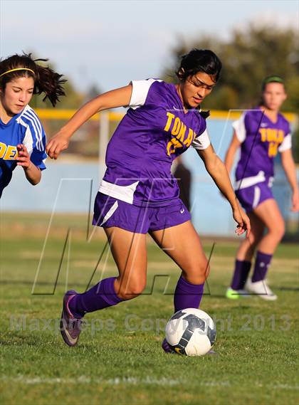 Thumbnail 1 in Linden @ Tokay (Champions Cup) photogallery.