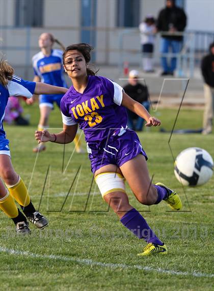 Thumbnail 1 in Linden @ Tokay (Champions Cup) photogallery.