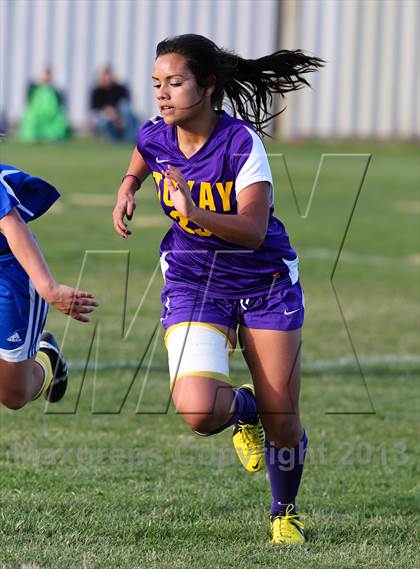 Thumbnail 1 in Linden @ Tokay (Champions Cup) photogallery.