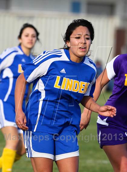 Thumbnail 3 in Linden @ Tokay (Champions Cup) photogallery.