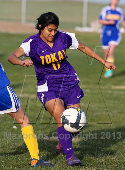 Thumbnail 2 in Linden @ Tokay (Champions Cup) photogallery.