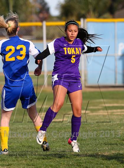 Thumbnail 2 in Linden @ Tokay (Champions Cup) photogallery.