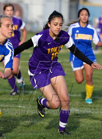 Thumbnail 1 in Linden @ Tokay (Champions Cup) photogallery.