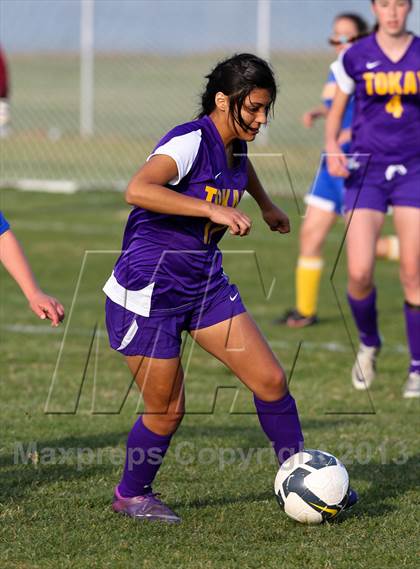 Thumbnail 1 in Linden @ Tokay (Champions Cup) photogallery.