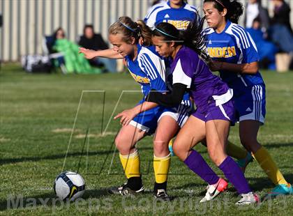 Thumbnail 1 in Linden @ Tokay (Champions Cup) photogallery.