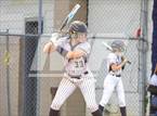 Photo from the gallery "Collierville @ Arlington"