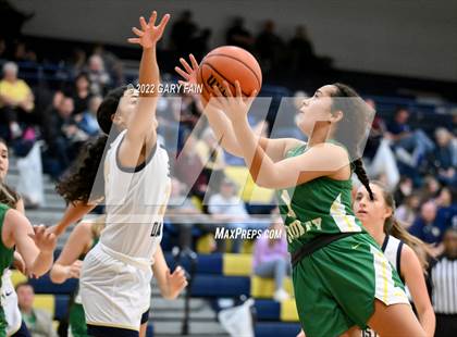 Thumbnail 1 in Rhea County @ Soddy Daisy photogallery.