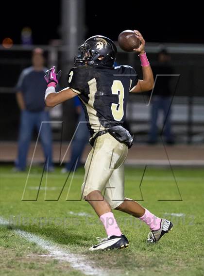 Thumbnail 3 in Sierra @ Lathrop photogallery.
