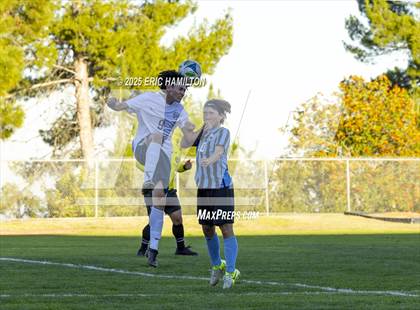 Thumbnail 3 in Environmental Charter @ Chadwick photogallery.