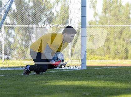 Thumbnail 1 in Environmental Charter @ Chadwick photogallery.