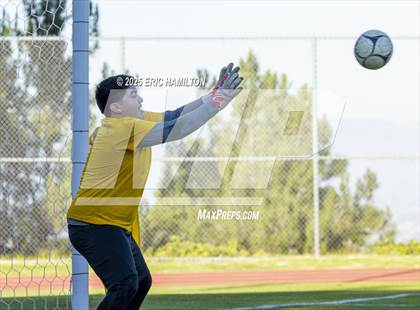 Thumbnail 2 in Environmental Charter @ Chadwick photogallery.