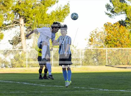 Thumbnail 1 in Environmental Charter @ Chadwick photogallery.