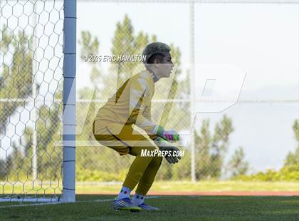 Thumbnail 3 in Environmental Charter @ Chadwick photogallery.