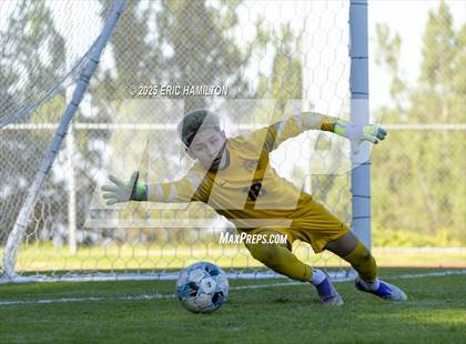 Thumbnail 2 in Environmental Charter @ Chadwick photogallery.