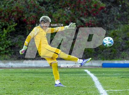 Thumbnail 2 in Environmental Charter @ Chadwick photogallery.