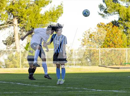 Thumbnail 2 in Environmental Charter @ Chadwick photogallery.