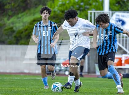 Thumbnail 2 in Environmental Charter @ Chadwick photogallery.