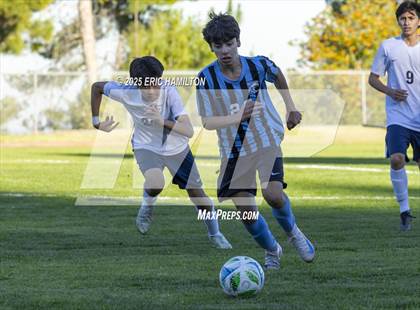 Thumbnail 1 in Environmental Charter @ Chadwick photogallery.