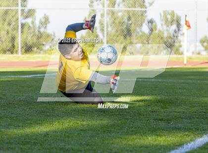 Thumbnail 1 in Environmental Charter @ Chadwick photogallery.