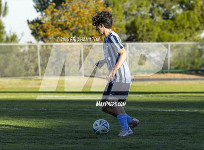 Thumbnail 2 in Environmental Charter @ Chadwick photogallery.