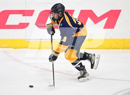 Thumbnail 3 in East Haven vs. Woodstock Academy (CIAC DII Semifinal) photogallery.